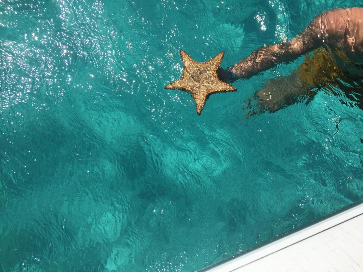 Zannanna F1 De Charme Tout Equipe Le Moule Avec Piscine Экстерьер фото